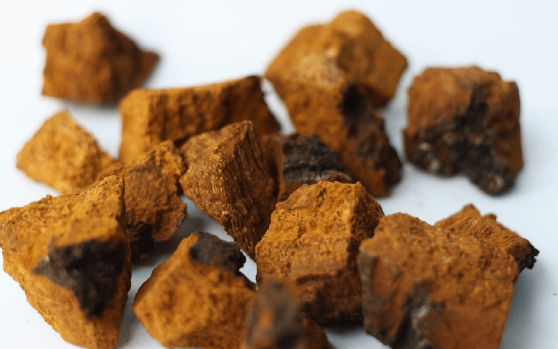 Chaga en morceaux