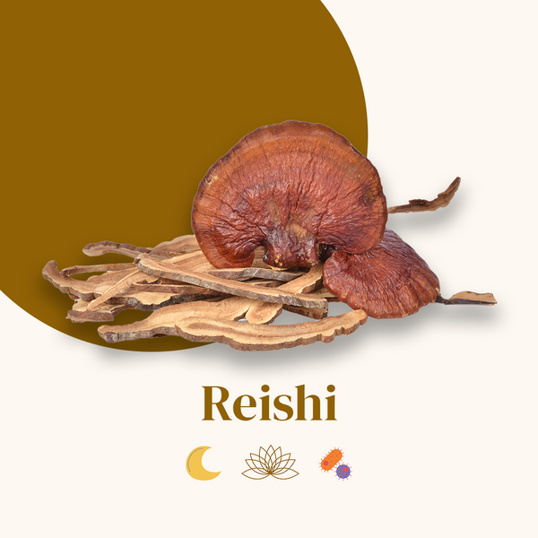 Reishi