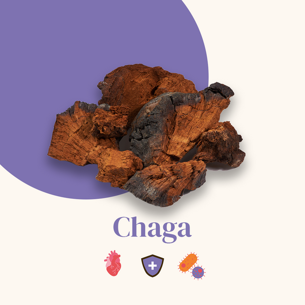 Le Chaga